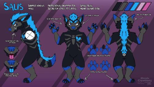 New-ref-Salis