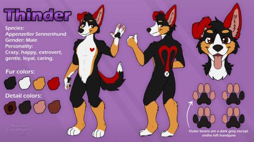Thinder-refsheet